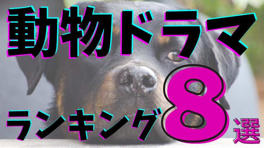 動物 ドラマ